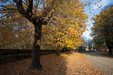 I colori dell'autunno