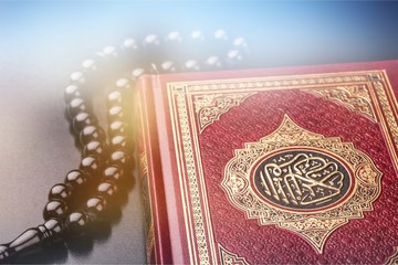 Holy Bible  book on  background