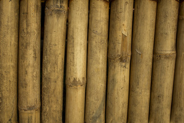 wall of old pale yellow dry bamboo. natural surface texture