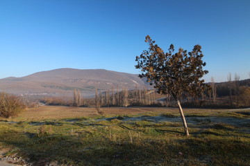 Obraz premium frost on the grass plain in front of the mountains