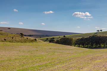 Fototapeta premium Sussex Farmland on a Sunny Autumn Day