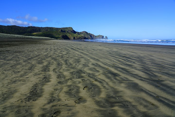 View of the black sand Te Henga (Bethells Beach) near Auckland in the North Island, New Zealand