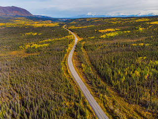 地平に続く一本の道　One road of Alaska