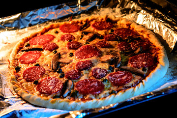 delicious pizza with salami in the stove