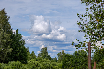 contrast rain storm clouds over green meadow and some trees in summer