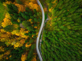 Colorful forest and curvy road, aerial drone view from above