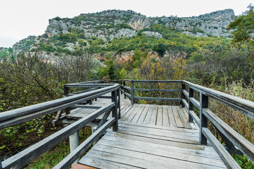Fototapeta na wymiar Wooden bridge in Krka National Park,Croatia