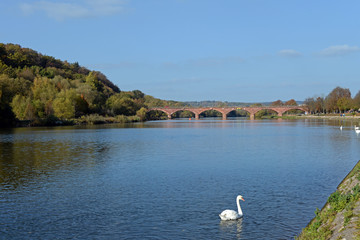 Die alte Mainbrücke von Marktheidenfeld
