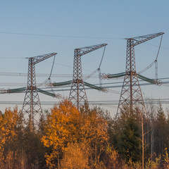 high-voltage power lines in the forest among the trees