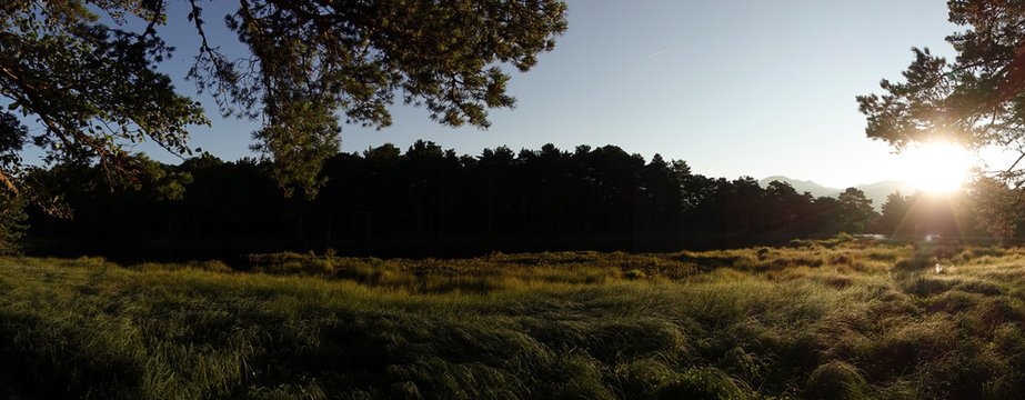 Panoramic of a sunrise in the bassa de oles in the valley of aran