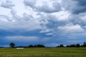 Naklejka premium contrast rain storm clouds over green meadow and some trees in summer