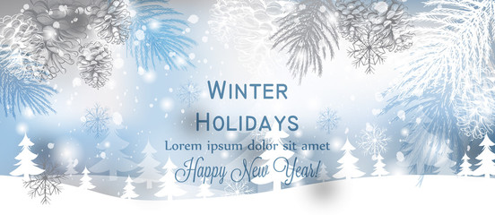 Winter background snowflakes Vector. Blue and gray snowflakes frozen decors