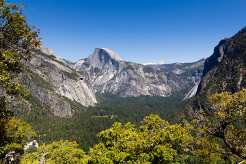 Yosemite Half Dome framed with tree branches