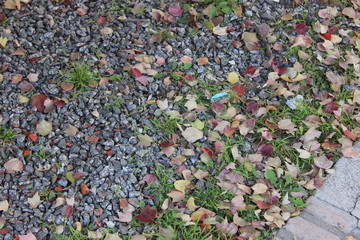 autumn falls