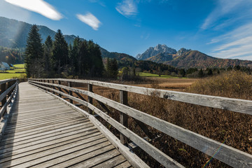 Fototapeta na wymiar Wooden footbridge at Zelenci Nature reserve,SLovenia