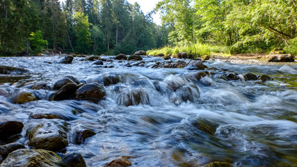 Fototapeta na wymiar rocky stream of river deep in forest in summer green weather with sandstone cliffs