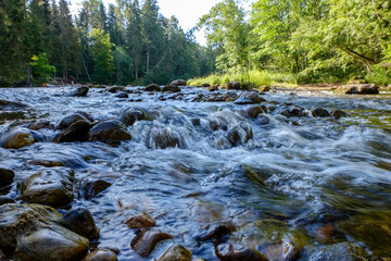 rocky stream of river deep in forest in summer green weather with sandstone cliffs