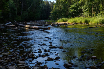 rocky stream of river deep in forest in summer green weather with sandstone cliffs