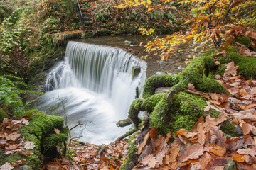 Fototapeta na wymiar Waterfall In English Lake District - Stock Ghyll Force