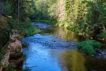 rocky stream of river deep in forest in summer green weather with sandstone cliffs