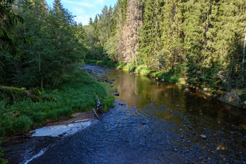 rocky stream of river deep in forest in summer green weather with sandstone cliffs
