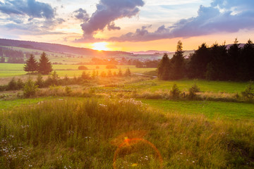 Fototapeta premium Sunset summer landscape with clouds, trees and hill