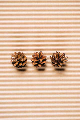 top view of three pine cones on the textured background