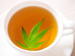 tea with marijuana. Cannabis leaf is brewed in herbal decoction to treat pain and increase appetite. concept of marijuana use for medicinal purposes.