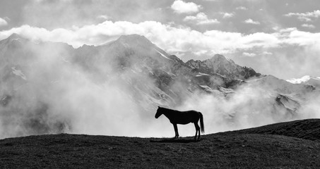 horse and mountains
