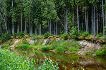 rocky stream of river deep in forest in summer green weather with sandstone cliffs