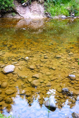 rocky stream of river deep in forest in summer green weather with sandstone cliffs