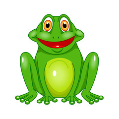 vector green frog on white background