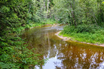 Obraz premium rocky stream of river deep in forest in summer green weather with sandstone cliffs