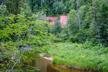 Fototapeta na wymiar rocky stream of river deep in forest in summer green weather with sandstone cliffs