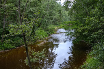 Obraz premium rocky stream of river deep in forest in summer green weather with sandstone cliffs