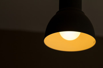 Black ceiling lamp