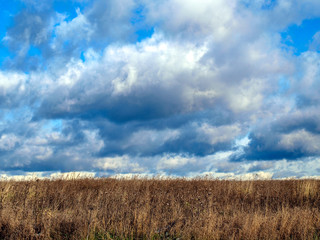 Autumn sky above a field.