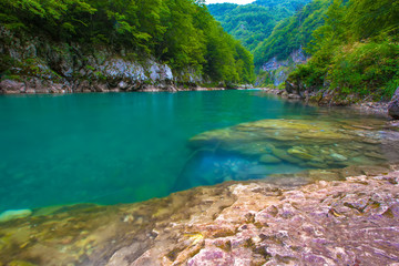 Absolutely transparent turquoise cold water of a mountain rapid deep river from a rocky shore, background of summer green trees of the forest. Tara River Canyon, Durmitor National Park, Montenegro.