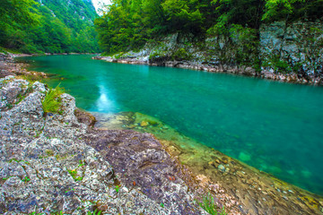 Absolutely transparent turquoise cold water of a mountain rapid deep river from a rocky shore, background of summer green trees of the forest. Tara River Canyon, Durmitor National Park, Montenegro.
