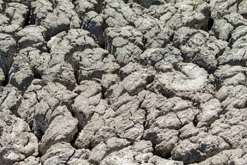 texture cracked earth in the dry season