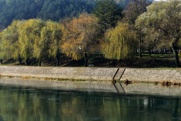 Beautiful autumnal forest by the river 
