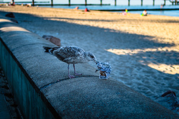 Herbstgefühle in Kühlungsborn