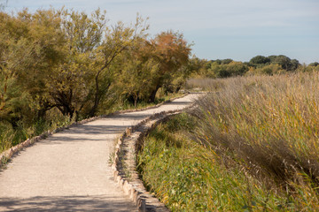 The tables of daimiel in real city