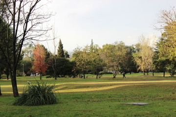 Green spaces
