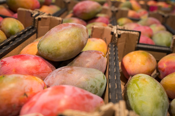 mangues sur le marché