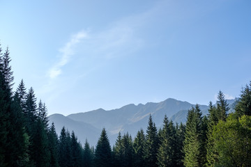 western carpathian Tatra mountain skyline with green fields and forests in foreground