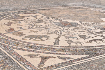 Ancient Roman mosaic at Volubilis world heritage site, Meknes, Morocco