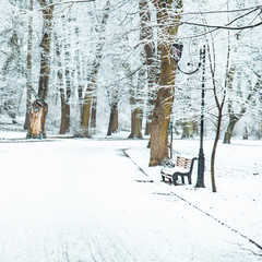 snowed city park. winter time. christmas