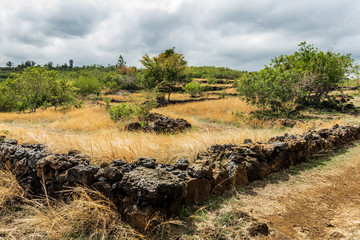 paysage de savanne mur de pierre