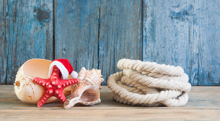 Santa hat, sea shells and starfish